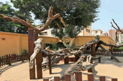 The Virgin Mary's Tree